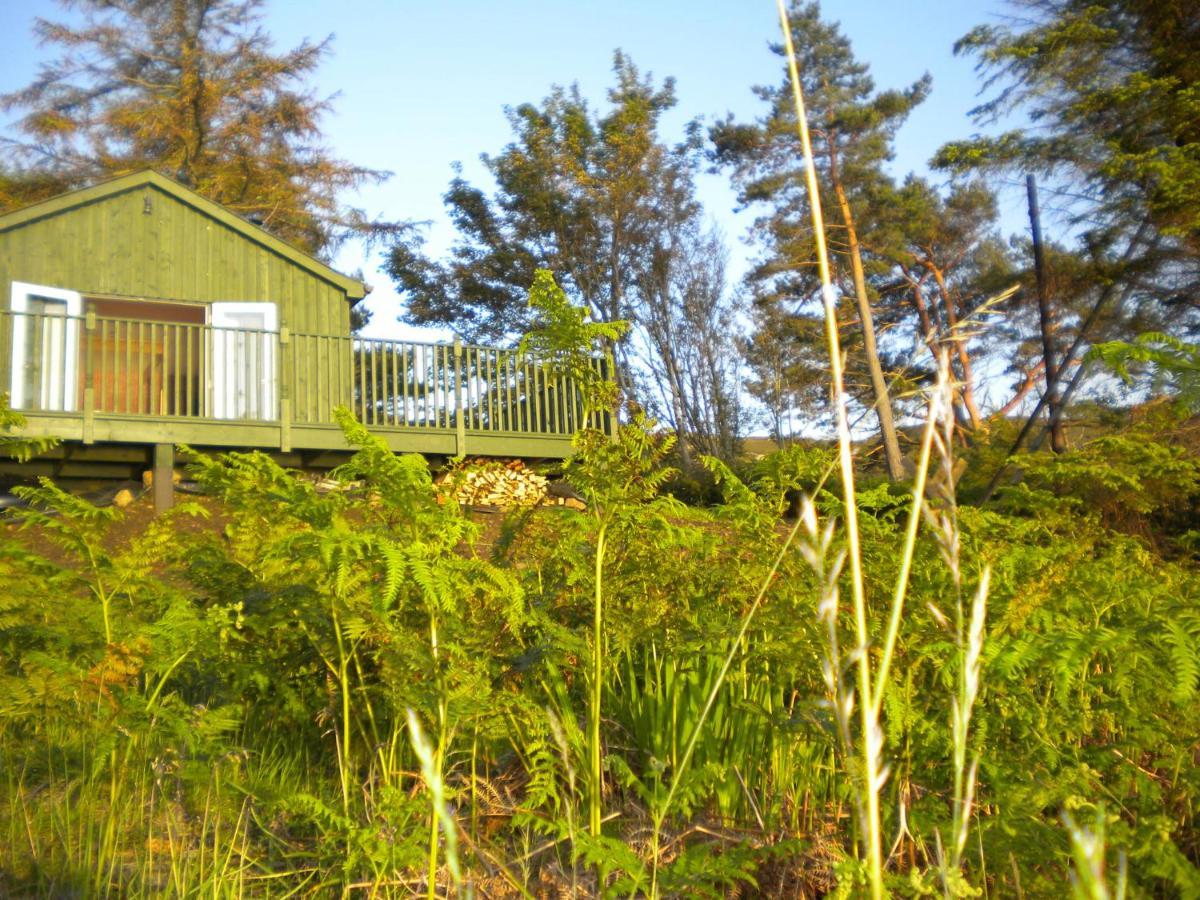 The Green House Glenelg Εξωτερικό φωτογραφία